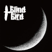 Blind Bird