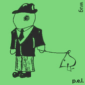 p.e.l.