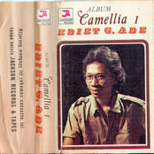 Album Camellia 1