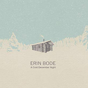 Erin Bode: A Cold December Night
