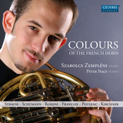 Colours of the French Horn