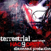 terrestrial