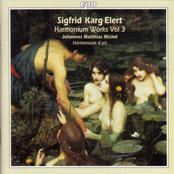 Karg-Elert: Harmonium Works, Vol. 3