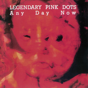 The Light In My Little Girl's Eyes by The Legendary Pink Dots
