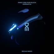 Dismantle (Secula Remix) - Single