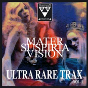 The Afterlife (hypnagogic Remix) by Mater Suspiria Vision