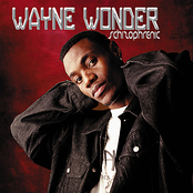Sasha by Wayne Wonder
