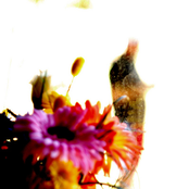 A Letter to Kurt Cobain - OST