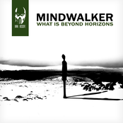 What is beyond horizons