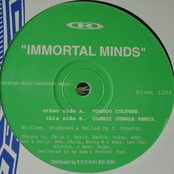 Voodoo Culture / Cosmic Jungle (Remix)