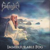 Immeasurable Fog