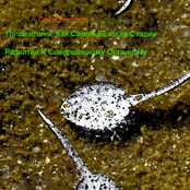 Головастики, Как Самая Близкая Стадия Развития К Совершенному Организму