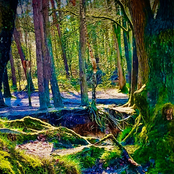 An AmRambient trip down Roomery Lane