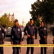 We Did Not Do It, But We Dug It!