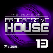 The Sound of Progressive House Vol.13
