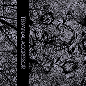 Terminal Aggressor I