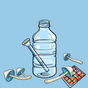 Default Mode Network LFO