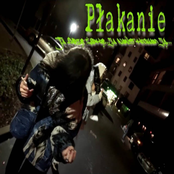 Ja Lubię Żabkę... Ja Nawet Kocham Ją