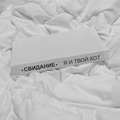 Я и твой кот