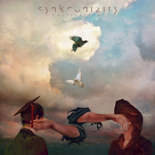 Synkronizity