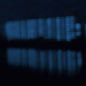 fluorite - EP