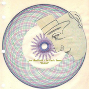 Jon Sheffield & In Dark Trees - Eventually Like a Mirror