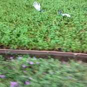 Music for People That Want Equality, Acceptance, and Comfort for All