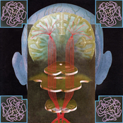 Ritos do Colapso Vol. II