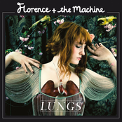 Florence + the Machine - Dog Days Are Over