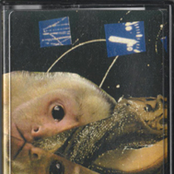 Ghost Moth / Fossils split