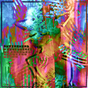 a confluence of tangled, twisting lines