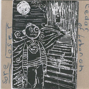 Sore Loser / Cedar of Lebanon