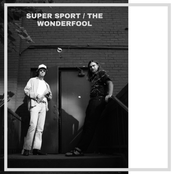 The Wonderfool: Long Way from Home