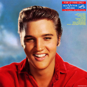 Playing For Keeps by Elvis Presley