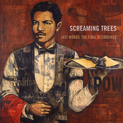 Reflections by Screaming Trees