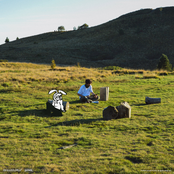 camoufly: In Plain Sight