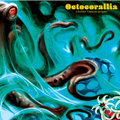 OCTOCORALLIA