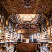 Calming Library Sounds