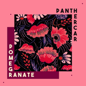 Panther Car: Pomegranate