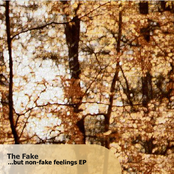 ...But Non-Fake Feelings EP