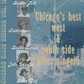 Chicago's Best West & South Side Blues Singers, Volume 1