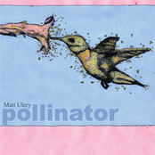 Matt Ulery: Pollinator