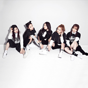 디아크 (the ark)