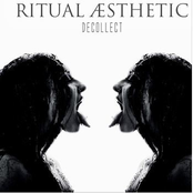 Through The Lust Of Flies by Ritual Aesthetic