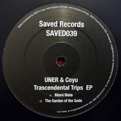 Transcendental Trips EP