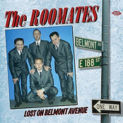 The Roomates: Lost On Belmont Avenue