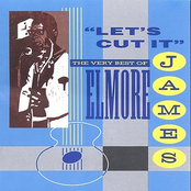 Mean And Evil by Elmore James