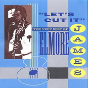 Canton, Mississippi Breakdown by Elmore James