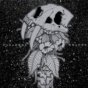 Pazahora/Ghaust split 7"