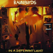 Pride by Rainbirds